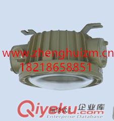 正辉BYW6130-J70W内场防爆泛光灯 