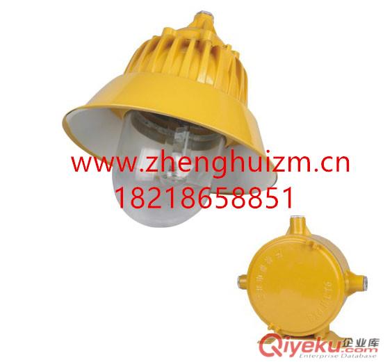 正辉BYC6218A-J250W防爆道路平台灯 