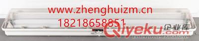正辉BCX6226粉尘防爆防腐双管荧光灯 