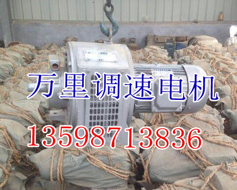 张家界振动电机