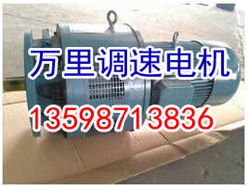 VB-75304-W振动电机批发