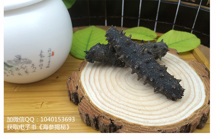 海参到哪里能够买到