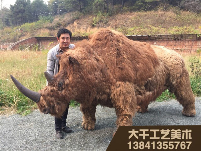 去哪买具有口碑的古生物模型_上海古生物模型