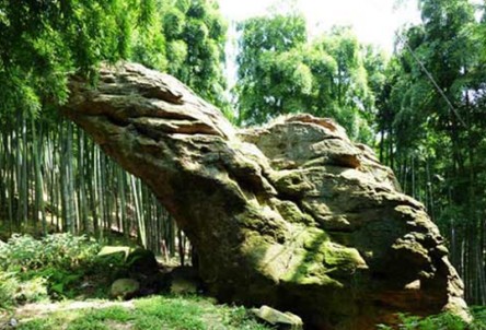 上海露营群-桃花溪溯溪＋天龙峡徒步（浙江-临安）（2天）