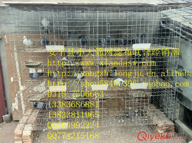 供應(yīng)鴿子籠，鴿子飲水器，鴿子水碗，鴿子蛋窩，鴿子食盒等