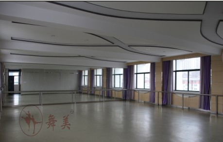 舞蹈專業(yè)塑膠地板，舞蹈學(xué)校塑膠地板