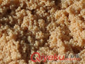 回收廢舊樹脂