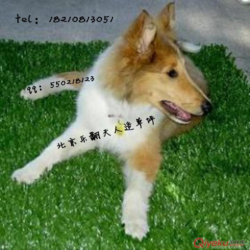 人造草坪人造草坪價格