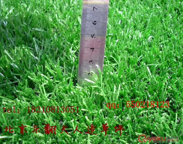人造草坪人造草坪價格