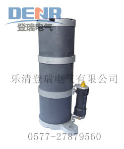 供RXQ-35D一次消谐器,RXQ-20D一次消谐器推荐厂家