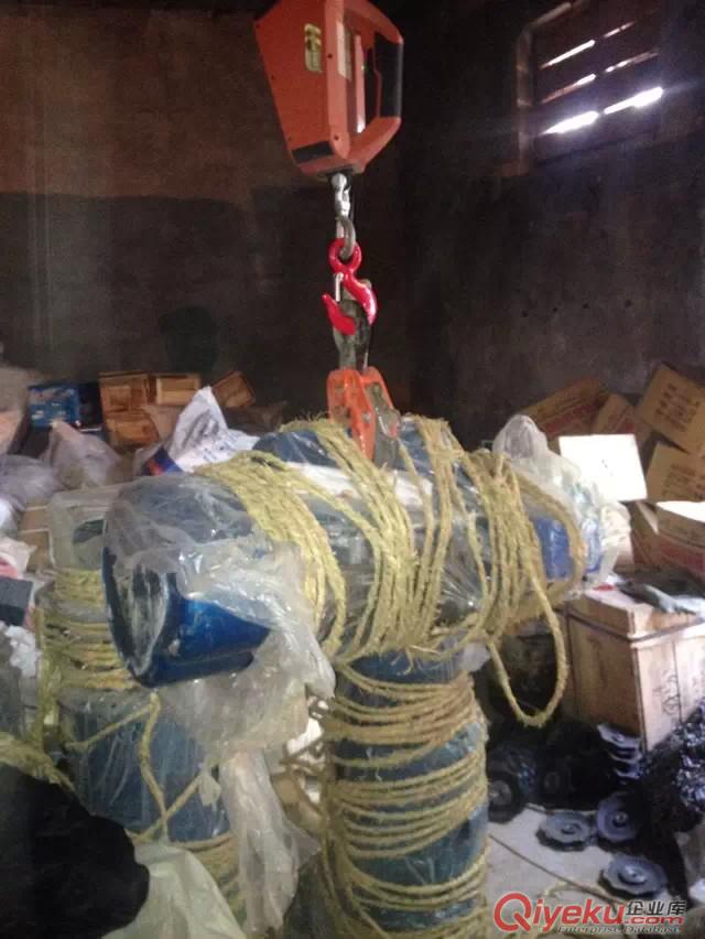 手提式電動葫蘆便攜式電葫蘆懸掛吊葫蘆220v原始圖片2