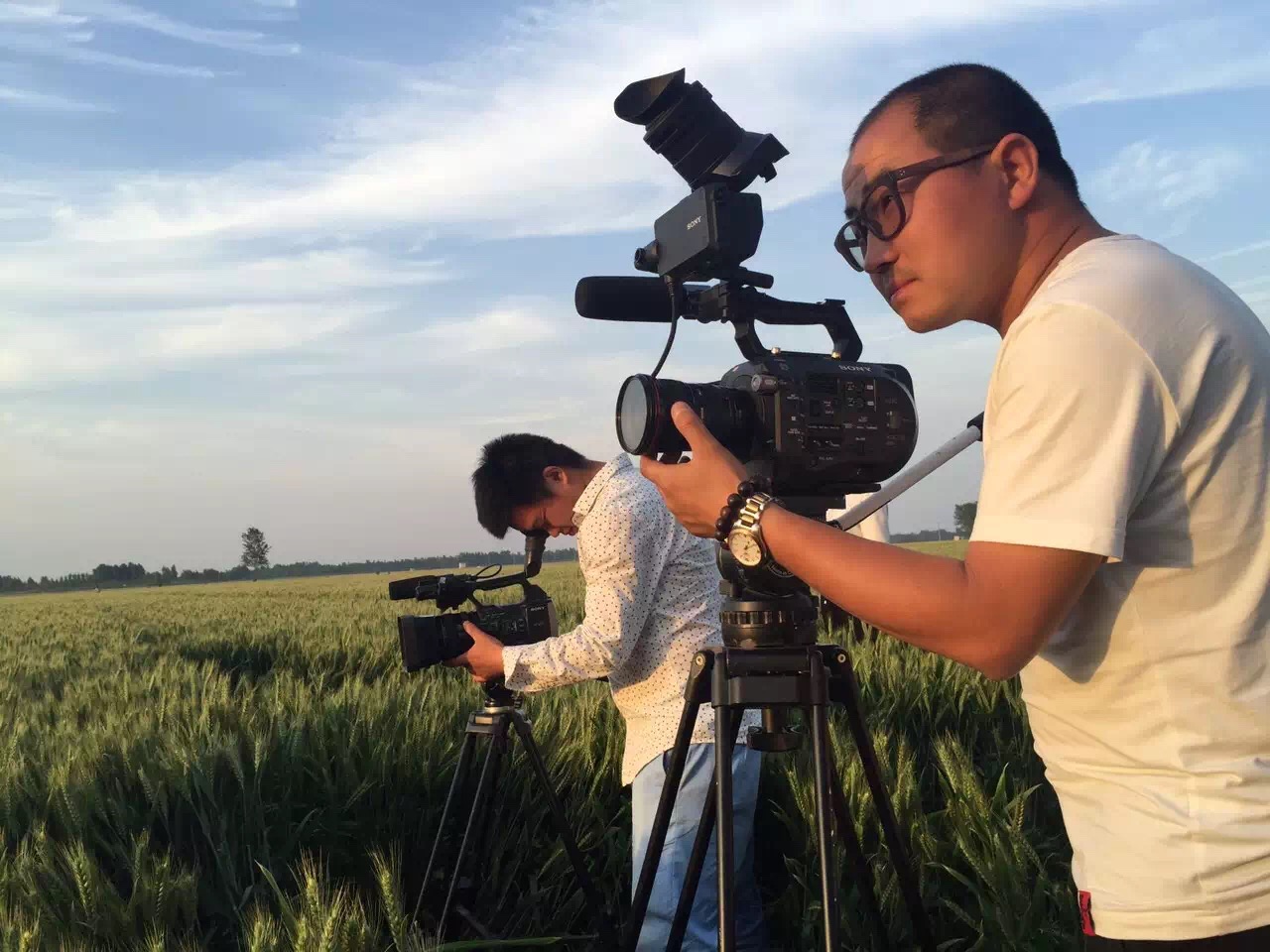 園林綠化宣傳片制作，創(chuàng)建園林城市宣傳片拍攝-大森林