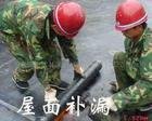 三水區衛生間防水補漏公司，南莊鎮廠房鐵皮瓦除銹防腐公司，官窯鎮防水補漏公司