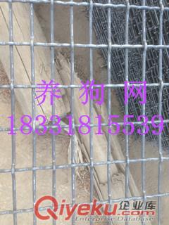 供應養狗用鐵絲網片，鐵絲軋花網片