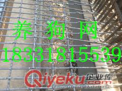 供應(yīng)河北安平鍍鋅鐵絲狗籠子軋花網(wǎng)