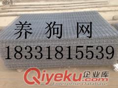 供應(yīng)河北安平鍍鋅鐵絲狗籠子軋花網(wǎng)