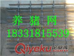 供應衡水安平養豬軋花網片廠家{zx1}報價