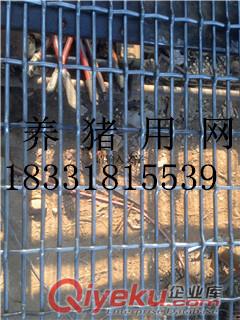 供應江西南昌養殖小豬用鍍鋅鐵絲網