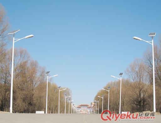 新型路燈 太陽能路燈 太陽能庭院燈 優質太陽能燈具廠