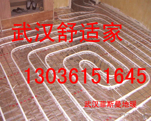 湖北菲斯曼代理商，菲斯曼武漢代理商原始圖片2