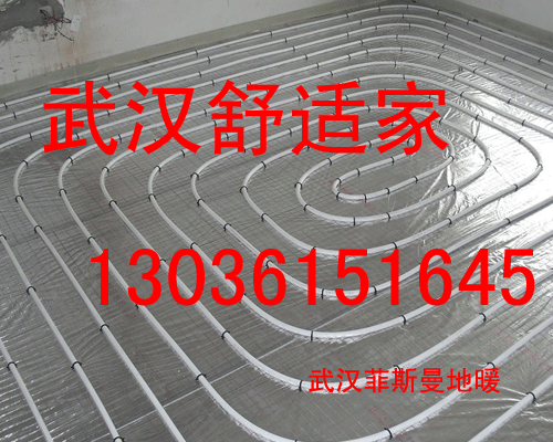 湖北菲斯曼代理商，菲斯曼武漢代理商原始圖片3