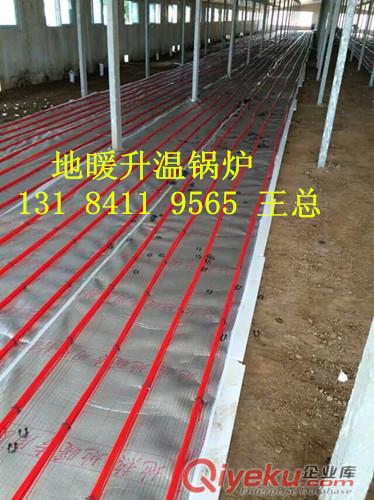 反燒豬舍地暖專用鍋爐報價，豬舍地暖鍋爐廠家原始圖片2