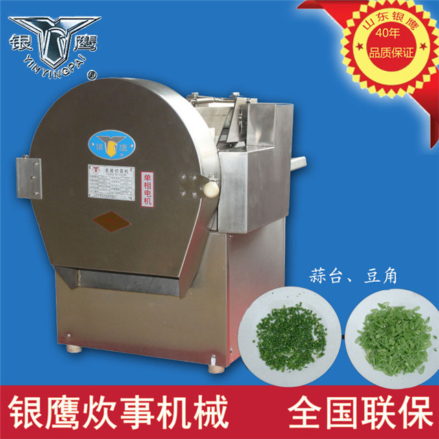 供應銀鷹多用切菜機 銀鷹 CHD40型手推式切菜機 果蔬切絲切片機