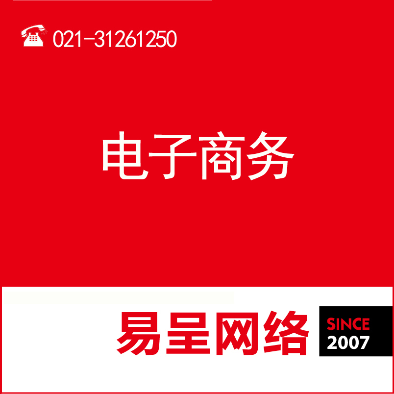 上海企業網站建設/上海易呈網絡