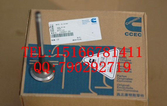 成工CG958H輪式裝載機【康明斯QSB6.7發動機總成】原半進口原始圖片3
