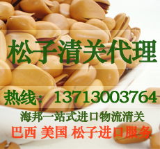 如何進口巴基斯坦松子/清關需要哪些資料/上海代理松子進口清關