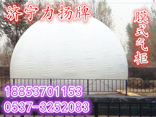 抵抗寒冷的沼氣儲氣氣柜原始圖片3