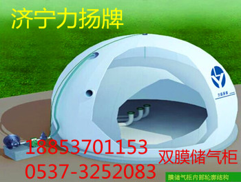 阻礙寒冷的沼氣雙膜氣柜原始圖片2