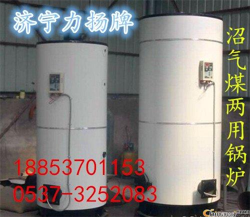 山東力揚燃煤燃氣熱水鍋爐冬天的必備品原始圖片3