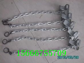 防倒鏈價(jià)格實(shí)惠質(zhì)量保證山東恒旺歡迎電詢原始圖片3