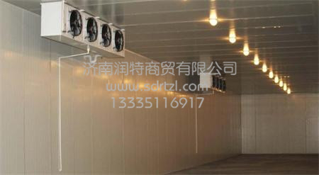 濟南潤特制冷-海鮮冷凍冷藏庫/水果保鮮庫