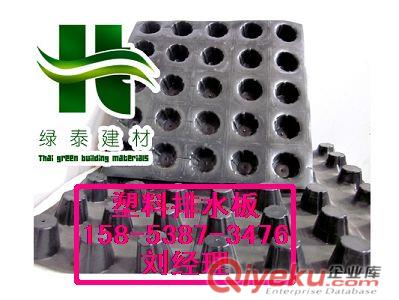 供應(yīng)福州車庫排水板&屋頂綠化疏水板原始圖片2