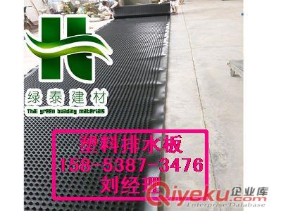 濱州排水板廠家_塑料隔根板_疏水板價格原始圖片2