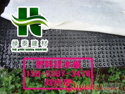 濱州排水板廠家_塑料隔根板_疏水板價格原始圖片3