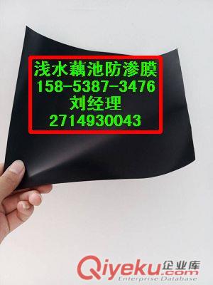 供應周口）魚池鋪底用防滲膜/蓄水池防滲膜厚度