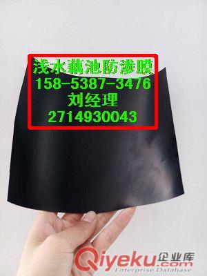 供應長沙】化工污水池防滲膜&800克復合膜