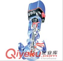 進口ARI艾瑞電動/氣動三通調(diào)節(jié)閥原始圖片2