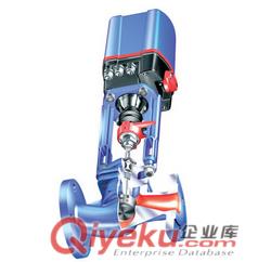 進(jìn)口ARI艾瑞電動/氣動調(diào)節(jié)閥原始圖片2