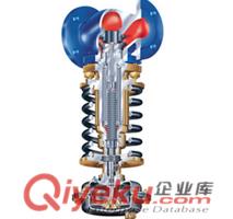 進口ARI艾瑞自力式蒸汽減壓閥原始圖片2