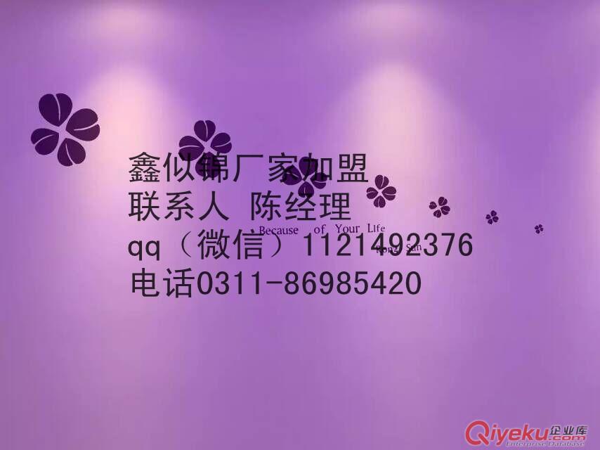 貴州液體壁紙好項目加盟前景好風險小