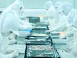 速凍鮑魚深加工|匯豐食品