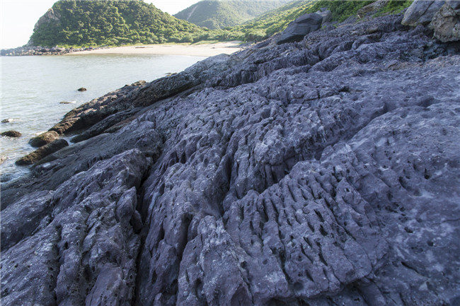 大杧島聯系方式|大杧島旅游度假區