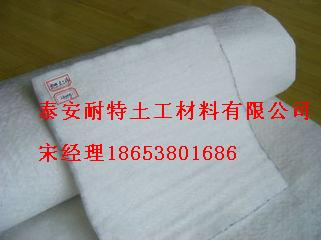 單向塑料土工格柵哪家價格低/耐特土工