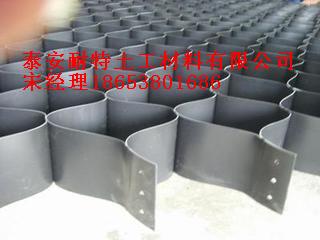 泰安市土工格室/耐特土工