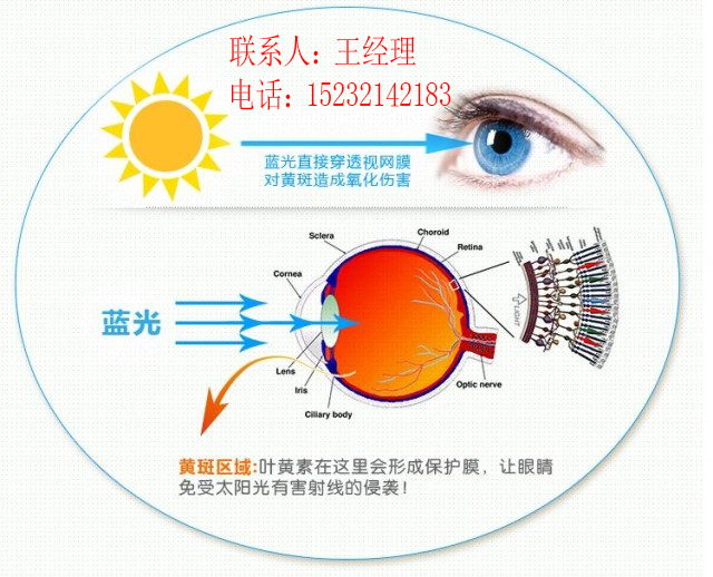 承德叶黄素专卖-河北微搜实业有限公司