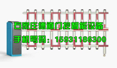 摆闸生产厂家代理,tj摆闸找厂家|德道门控智能